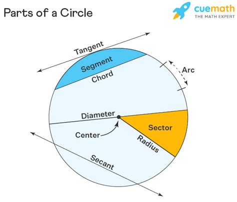 Parts of a Circle: Definition, Formula, Examples.